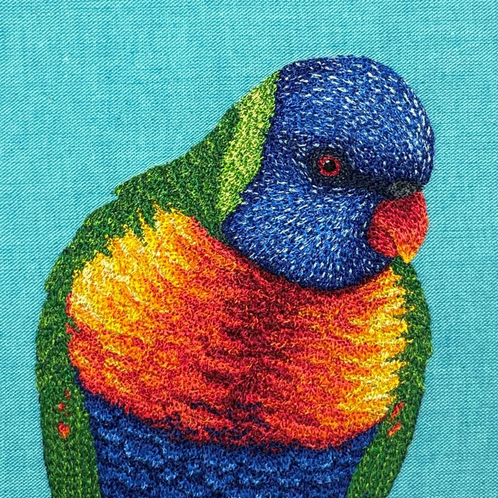 Rainbow Lorikeet cropped